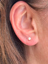 Forever Studs (4mm)